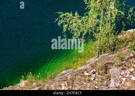 Felsiges Ufer eines tiefen Sees im Ruskeala Mountain Park mit einer einsamen Birke am Wasser. Stockfoto