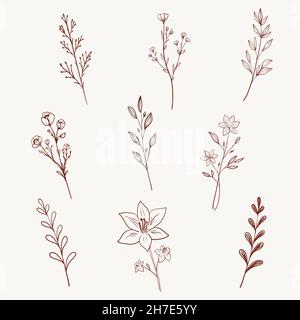 Minimalistische Wildblumen, Kräuter, Blätter und Zweige. Handgezeichnete Linie Kunst Kräuter Set Highlight Symbol. Botanische Elemente für Logo-Design, Öko-Style, Organi Stock Vektor