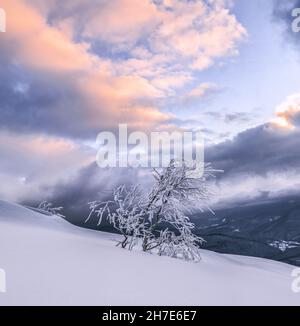 Hoher Berg. Atemberaubende Winterlandschaft. Weihnachtliches Wunderland. Wiese bedeckt mit Frostbäumen in den Schneeverwehungen. Wald. Verschneite Tapete Hintergrund. Stockfoto