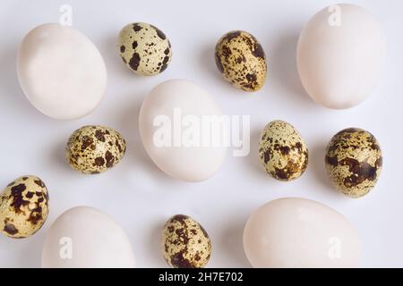 Viele Wachteln und Hühnereier in verschiedenen Größen und Farben auf einem weißen Hintergrund sind im gesamten Rahmen verteilt Stockfoto