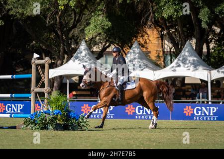 Paul O'Shea auf der Chanceloress in Monterrey, Mexiko Stockfoto