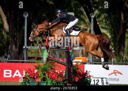 Paul O'Shea auf der Chanceloress in Monterrey, Mexiko Stockfoto