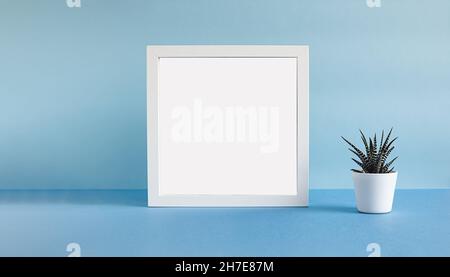 Weißer Fotorahmen und haworthia-Heimpflanze in einem weißen Topf auf hellblauem Hintergrund Stockfoto