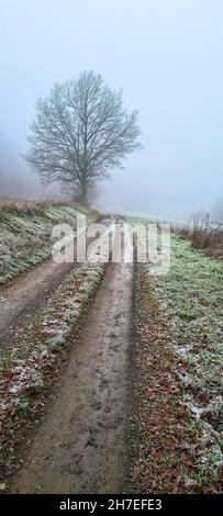 Natur und Landschaft mit Sonne und Schatten Stockfoto