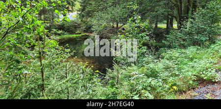 Natur und Landschaft mit Sonne und Schatten Stockfoto