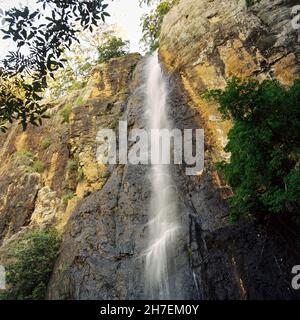 Purling Brook Falls, Springbrook National Park, Gold Coast, Queensland, Australien. Stockfoto