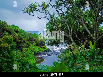 Palikea Stream läuft durch vulkanisches Gestein in den Ozean, Haleakala National Park, Maui, Hawaii Stockfoto