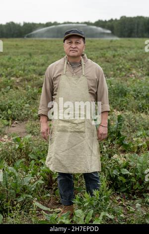 In voller Länge Porträt des Inhalts reifen asiatischen Landwirt in Schürze und Kappe auf Gemüseplantage stehen Stockfoto