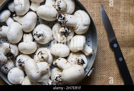 Flaches Bild eines Behälters, in dem sich einige weiße Pilze (Agaricus bisporus) befinden, die neben einem kleinen Messer noch Erde an den Füßen haben Stockfoto