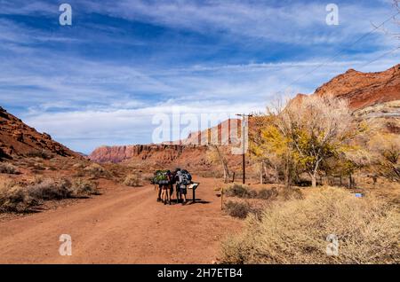 Eine Gruppe von Wanderern trifft sich in der Nähe des Tail Sign in Arizona Stockfoto