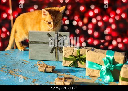 Ingwer Katze mit eingewickelten Vintage Geschenkboxen auf blauem, türkisfarbenem, altem Holzhintergrund. Geschenk-Box in Bastelpapier mit grüner Schleife mit Schatten Stockfoto