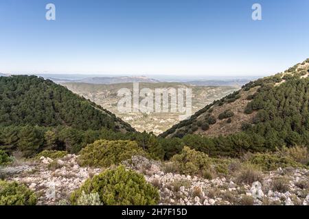 Schöne Aussicht auf die grünen Berge, die unter dem blauen Himmel schimmern Stockfoto