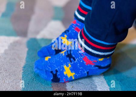 Nahaufnahme der Füße des Kindes in blauen Socken. Stockfoto