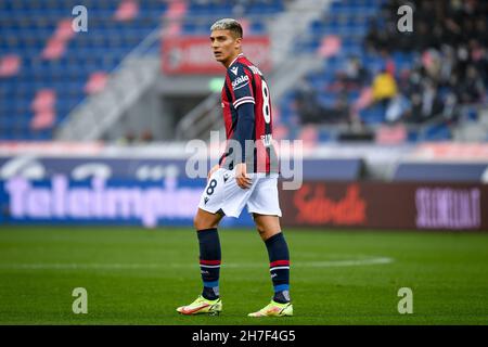 Bologna, Italien. 21st. November 2021. Bologna's Nicolas Dominguez Portrait während Bologna FC vs Venezia FC, italienische Fußballserie A Spiel in Bologna, Italien, November 21 2021 Quelle: Independent Photo Agency/Alamy Live News Stockfoto
