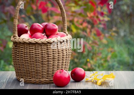 Reife rote Bio-Äpfel in einem Korbkorb auf einem Gartentisch. Stockfoto