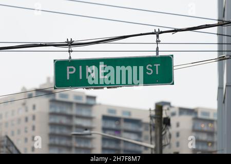 Seattle - 21. November 2021; Schild für die Pine Street in Seattle mit weißem Text auf einem grünen Hintergrund, der an Drähten im Viertel Capitol Hill hängt Stockfoto