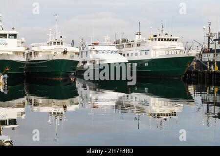 Seattle - 21. November 2021; die Boote der UnCruise Adventures-Gesellschaft werden im Fishermens Terminal in Seattle für den Winter eingesetzt. Die grünen und weißen Schiffe Stockfoto