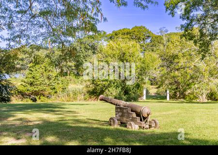 Eine alte Kanone aus dem Jahr 19th auf Sylvester Manor, Shelter Island, NY Stockfoto