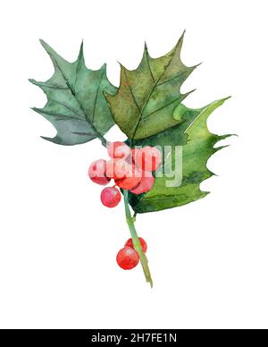 Weihnachten Holly Beere Zweig Aquarell isoliert auf weißem Hintergrund Stockfoto