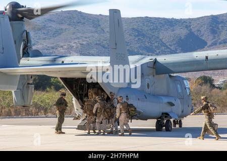 U.S. Marines with the Infantry Small Unit Leaders Course 1-22, Advanced Infantry Training Bataillon, School of Infantry - West, Board an MV-22B Osprey als Teil einer Trainingsübung auf Marine Corps Base Camp Pendleton, California, 16. Nov 2021. Die Studenten führten einen Luftangriff durch, der sie von SOI-West auf Lager Pendleton nach Yuma, Arizona, brachte. ISULC soll nichtkommissionierten Offizieren fortgeschrittene Infanteriefähigkeiten vermitteln und sie in die Lage versetzen, innerhalb eines Infanteriebataillons mehr Führungsverantwortung zu übernehmen. (Foto des US Marine Corps von CPL. Drake Nickels) Stockfoto