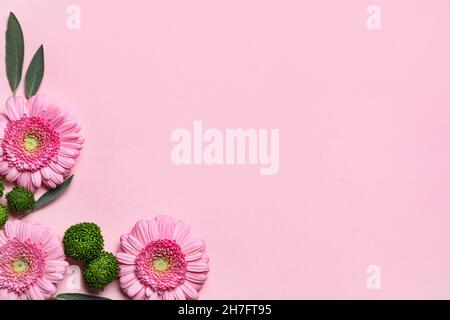 Komposition mit schönen Gerbera-Blüten auf rosa Hintergrund, Nahaufnahme Stockfoto