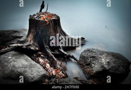 Langzeitaufnahme des Seeufers mit Steinen und einem alten Baumstumpf Stockfoto