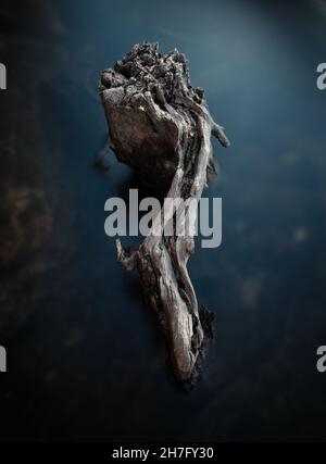 Vertikale Aufnahme eines alten Holzes am Seeufer Stockfoto