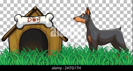 Dobermann Pinscher Hund mit Hundehütte auf transparenter Hintergrunddarstellung Stock Vektor