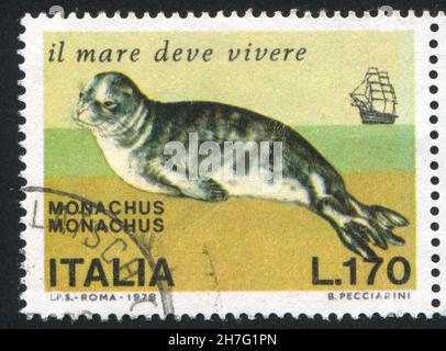 ITALIEN - UM 1978: Stempel gedruckt von Italien, zeigt Mediterranisches Mönchsrobbe, um 1978 Stockfoto