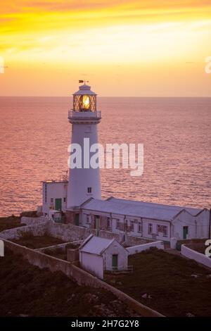 South Stack Lighthouse bei Sonnenuntergang, Holy Island, Anglesey, Wales Stockfoto