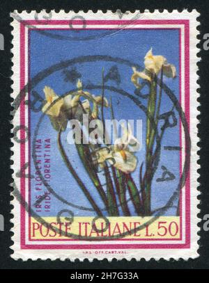 ITALIEN - UM 1967: Briefmarke gedruckt von Italien, zeigt Florentine Iris, um 1967 Stockfoto