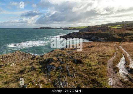 Point Lynas vom Anglesey Coastal Path, Wales Stockfoto