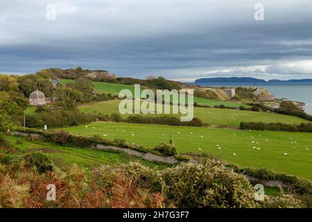 Penmon Point auf der Isle of Anglesey mit der Great Orme in der Ferne, Nordwales, Großbritannien Stockfoto