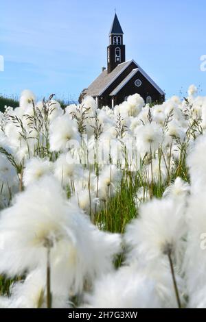 DÄNEMARK. GRÖNLAND. WESTKÜSTE. DIE KIRCHE VON ILULISSAT IN EINEM BAUMWOLLGRASFELD. Stockfoto