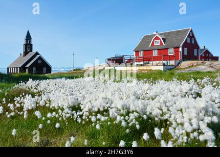 DÄNEMARK. GRÖNLAND. WESTKÜSTE. DIE KIRCHE VON ILULISSAT IN EINEM BAUMWOLLGRASFELD. Stockfoto