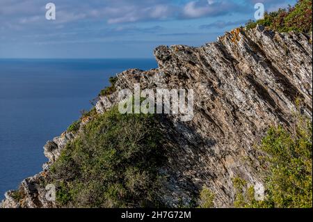 Ein natürlicher Blick auf die Insel Gorgona, Livorno, Italien Stockfoto