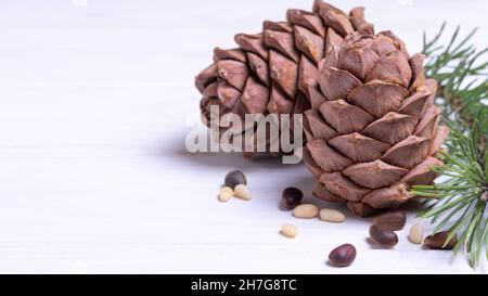 Banner, Tannenzapfen mit Nüssen auf weißem Holzhintergrund, Naturkosmetik-Konzept Stockfoto