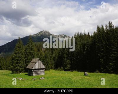 Traditionelle hölzerne Schäferhütte im Chocholowska Tal, Tatra, Polen Stockfoto