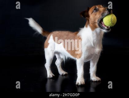 Italien Stockfoto