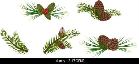 Set aus grünen Tannenzweigen und Kiefernzweigen mit Zapfen und Beeren. Festliche Innendekoration für das neue Jahr, Element für Design-Weihnachtskranz an der Tür. Vektorgrafik flach Stock Vektor