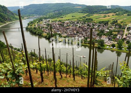 Via Wolf bei Kröv an der Mosel, Rheinland-Pfalz, Deutschland Stockfoto