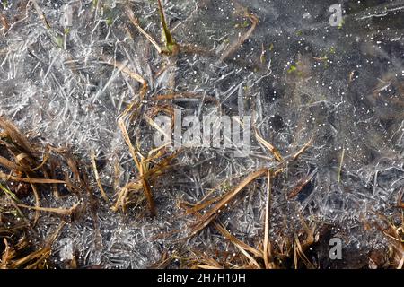 Ein eisiges Flussufer mit gelbem Gras und einem schönen weißen Eismuster in einer frostigen Morgennahe Stockfoto