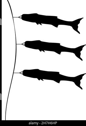 Silhouetten Japanische Karpfendrachen. Koinobori-Fisch Stock Vektor