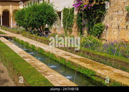 Ein erfrischender Garten im Generalife, der Sommerpalast und das Landgut der nasridischen Herrscher des Emirats Granada Stockfoto