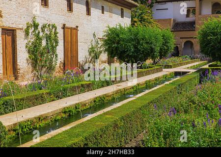 Eine Terrasse mit einem schönen Garten im Generalife, dem Sommerpalast und Landsitz der Nasriden-Herrscher des Emirats Granada Stockfoto