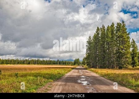 Grassy Lake Road, FR 261, nach Regen, Caribou Targhee National Forest, Greater Yellowstone Area, Wyoming, USA Stockfoto