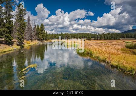 Glade Creek, von Grassy Lake Road, FR 261, John D. Rockefeller Jr. Memorial Parkway Protected Area, Greater Yellowstone Area, Wyoming, USA Stockfoto