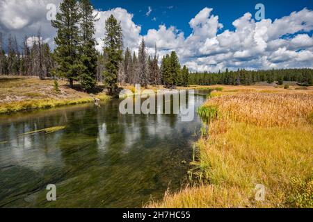 Glade Creek, von Grassy Lake Road, FR 261, John D. Rockefeller Jr. Memorial Parkway Protected Area, Greater Yellowstone Area, Wyoming, USA Stockfoto