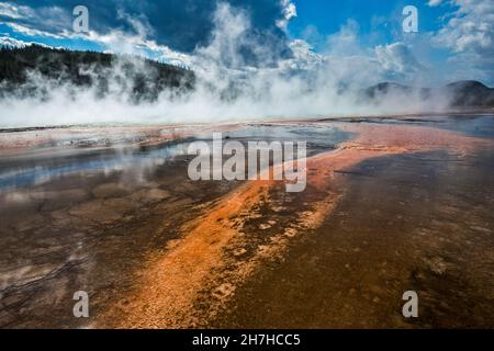 Mineralvorkommen, Dampf steigt aus der Grand Prismatic Spring, Midway Geyser Basin, Yellowstone National Park, Wyoming, USA Stockfoto