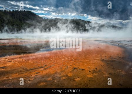 Spuren von Mineralvorkommen, Dampf steigt aus Grand Prismatic Spring, Midway Geyser Basin, Yellowstone National Park, Wyoming, USA Stockfoto